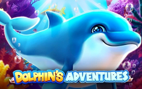 dolphin-adventures