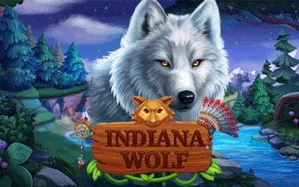 indiana-wolf