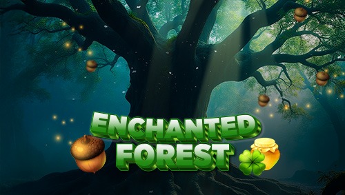 Enchanted Forest
