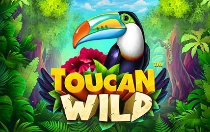 toucan-wild